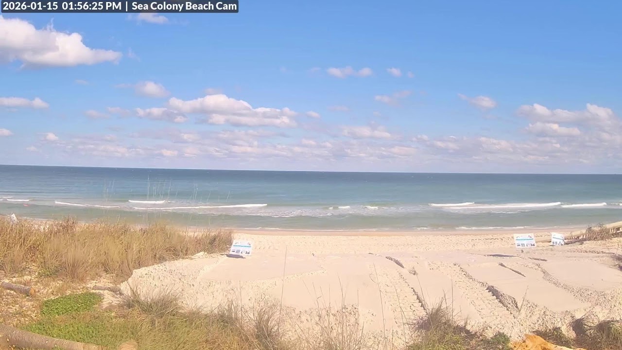 Sea Colony Web Cam