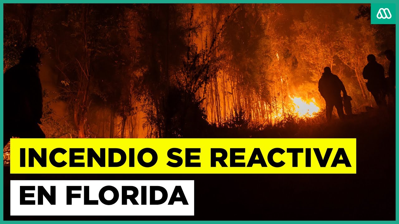 Se reactivan focos de incendio en Florida
