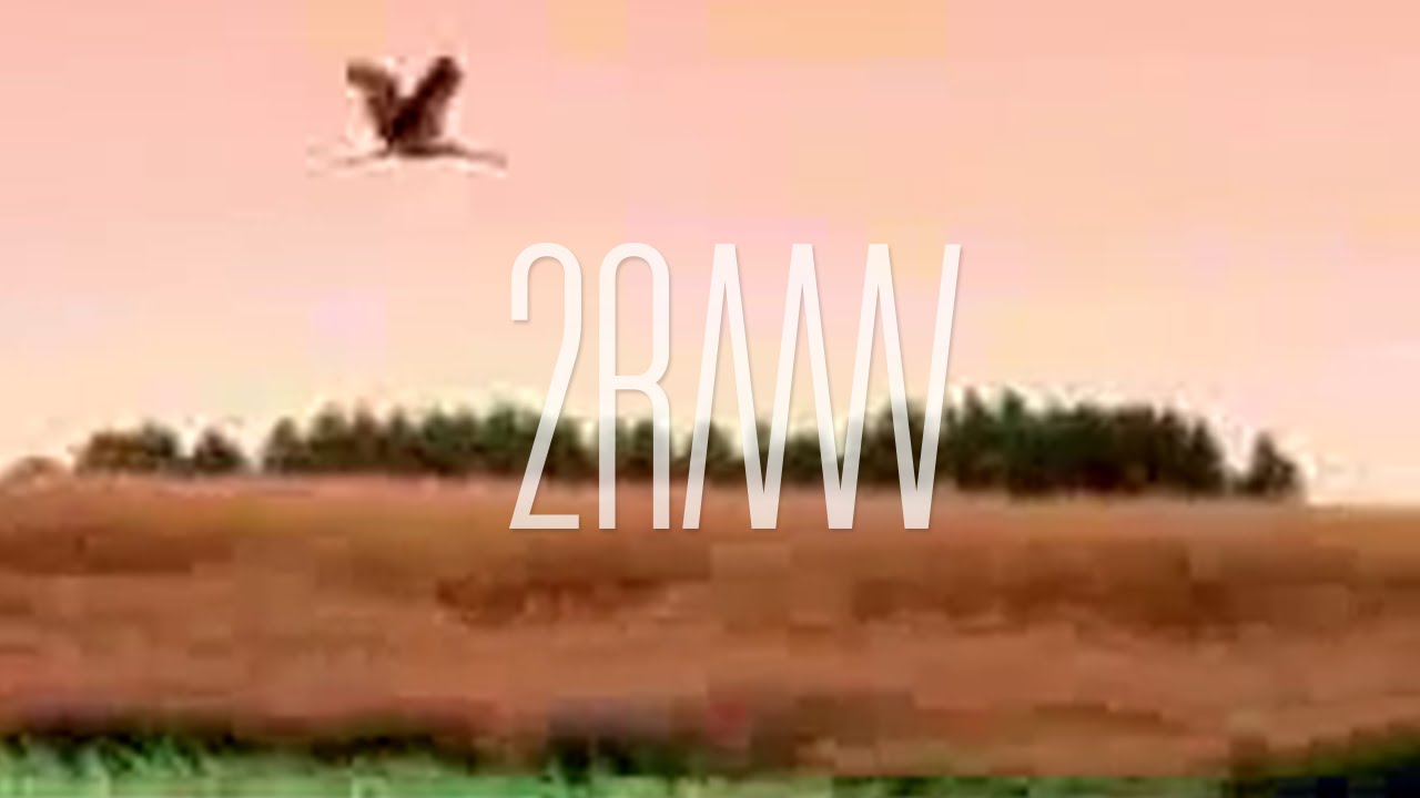 2RAUMWOHNUNG - Wir trafen uns in einem Garten (Official Video)
