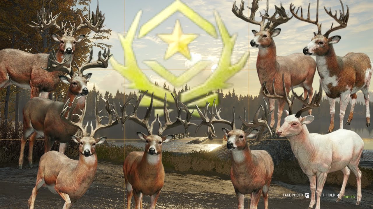 1100+ kills into red deer grind #8, G1 Grind #86, SR Grind #16
