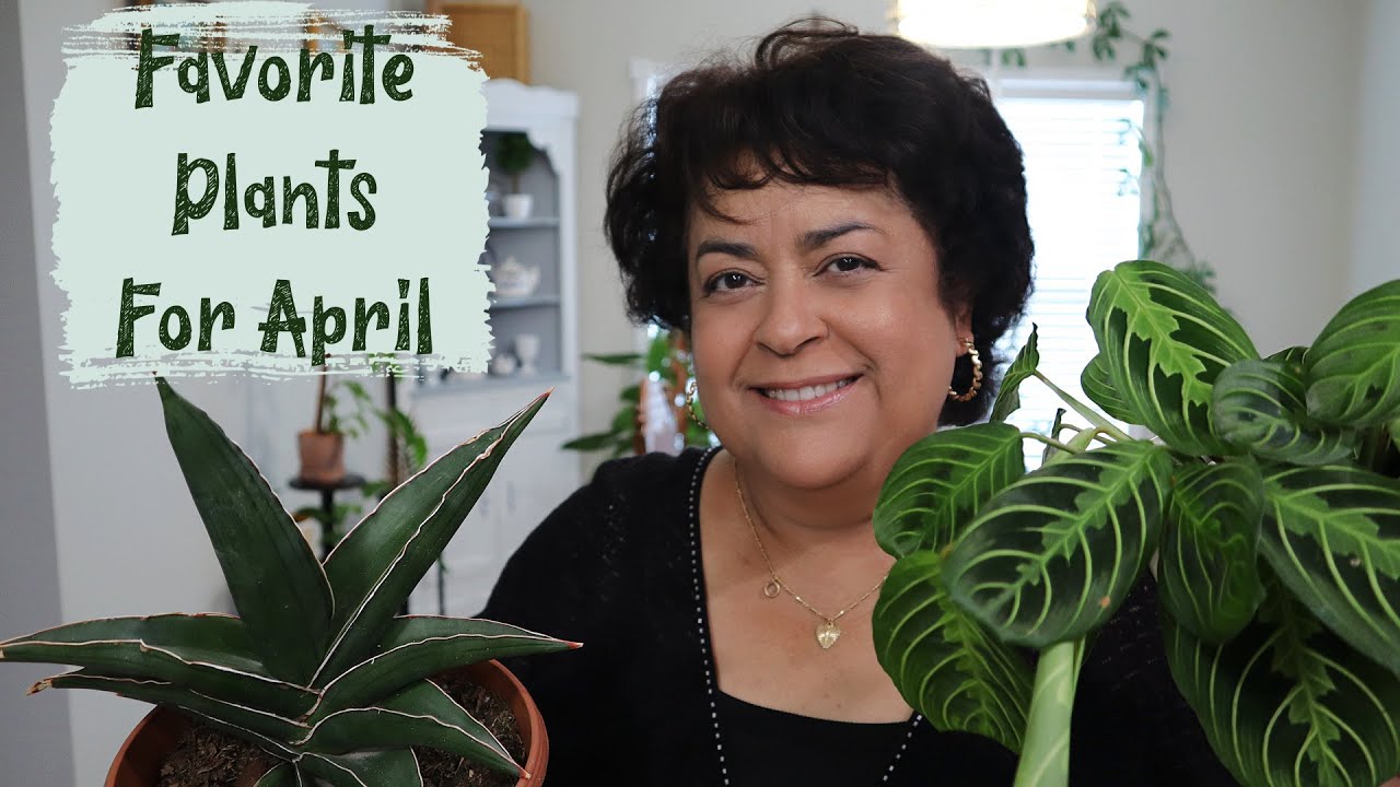 You Won't Believe How Much They Grew! April Favorite Plants