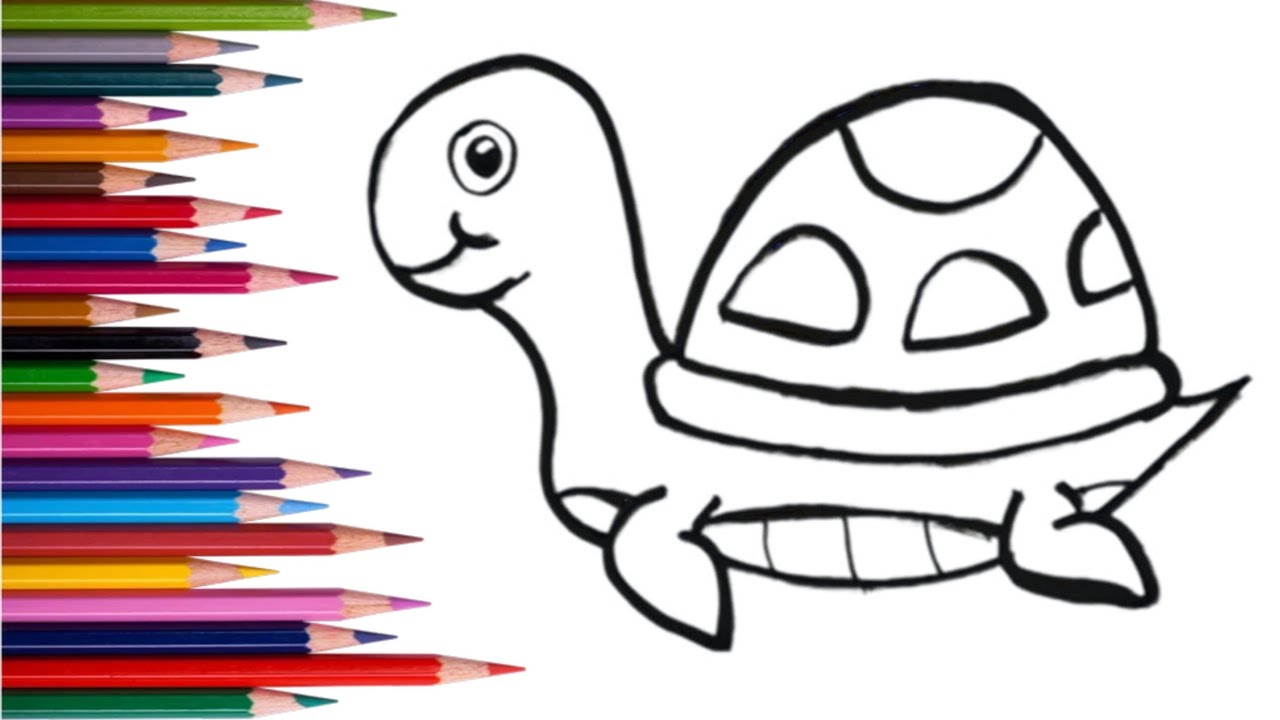 How to Draw a Cute Turtle Step by Step | Easy Drawing for Kids🐢