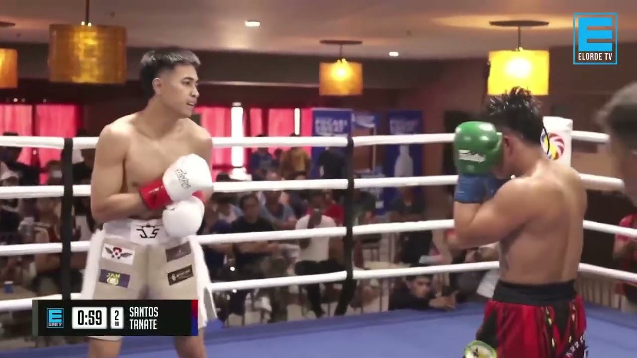 SANTOS VS TANATE