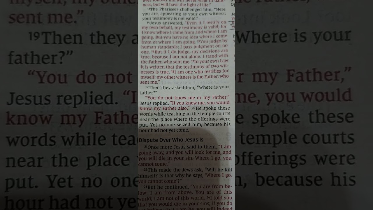 JOHN LESSON #8 Dispute Over Jesus's Testimony, Dispute Over Who Jesus is