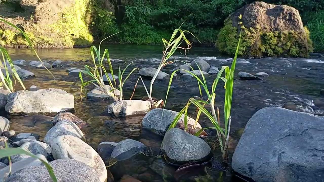Powerful Mountain River Rapids in 4K – Relaxing Water Sounds for Study & Meditation