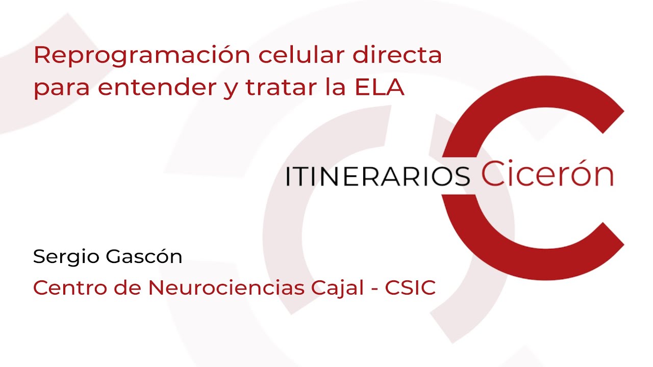 Cicerón 