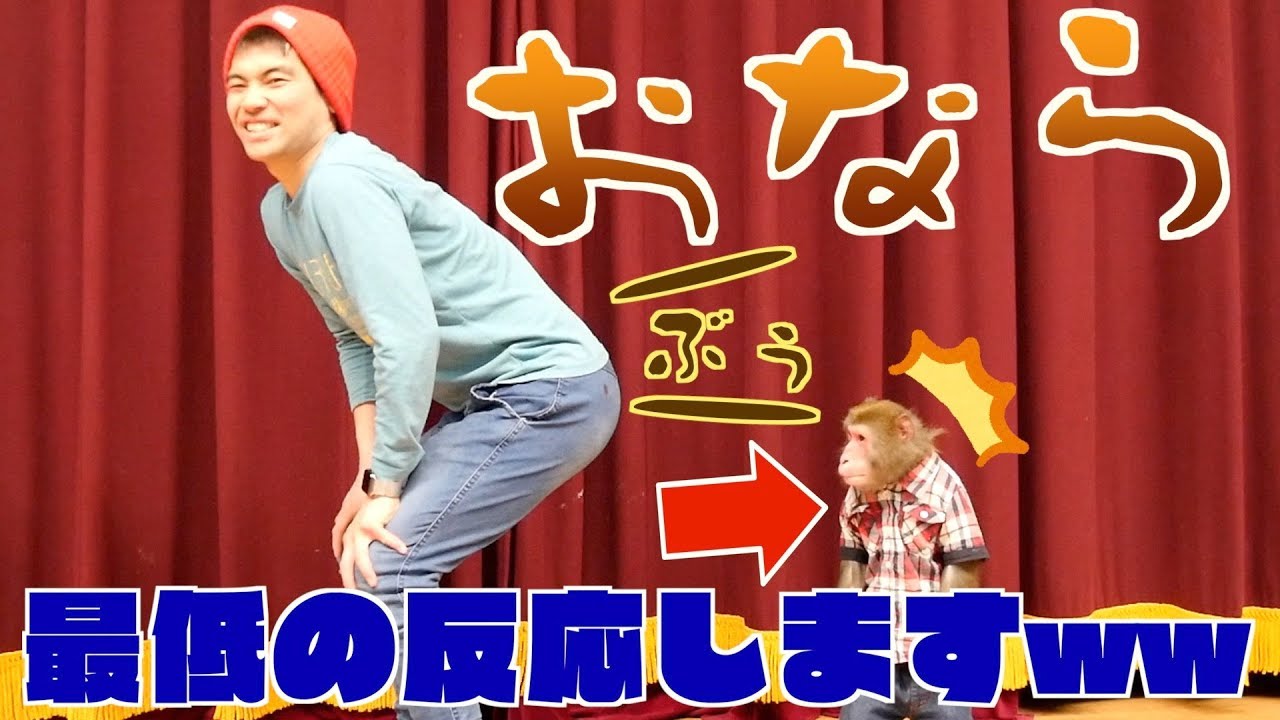 【炎上覚悟】飼い主の“おなら”が止まらなくなっちゃったら？お猿さんの反応に爆笑wwww
