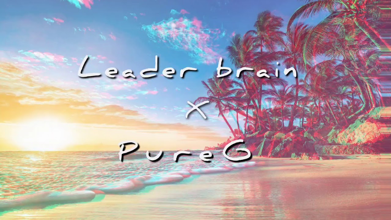 Leader brain x PureG - Hawaii(Prod Skoprod)