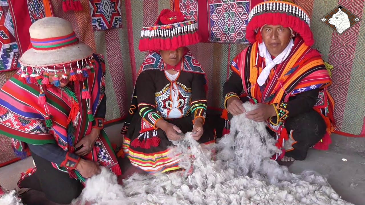 Escarmenado de la fibra de alpaca