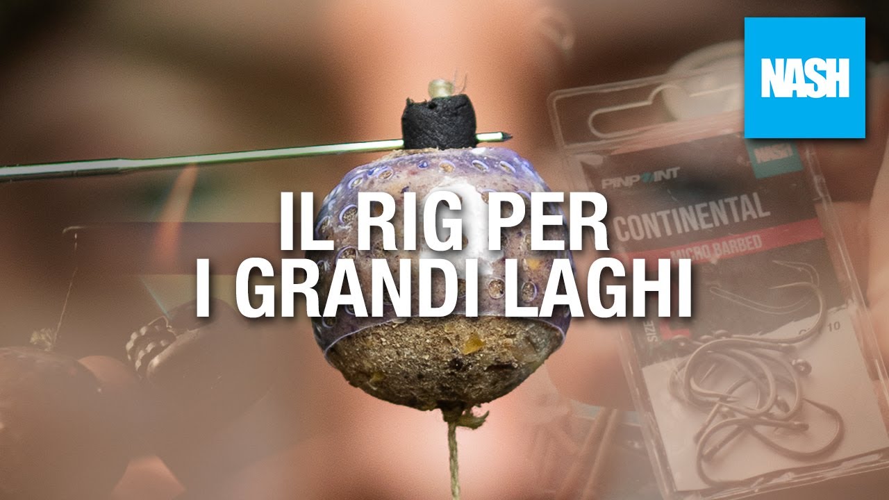 Il Rig da carp fishing per i grandi laghi
