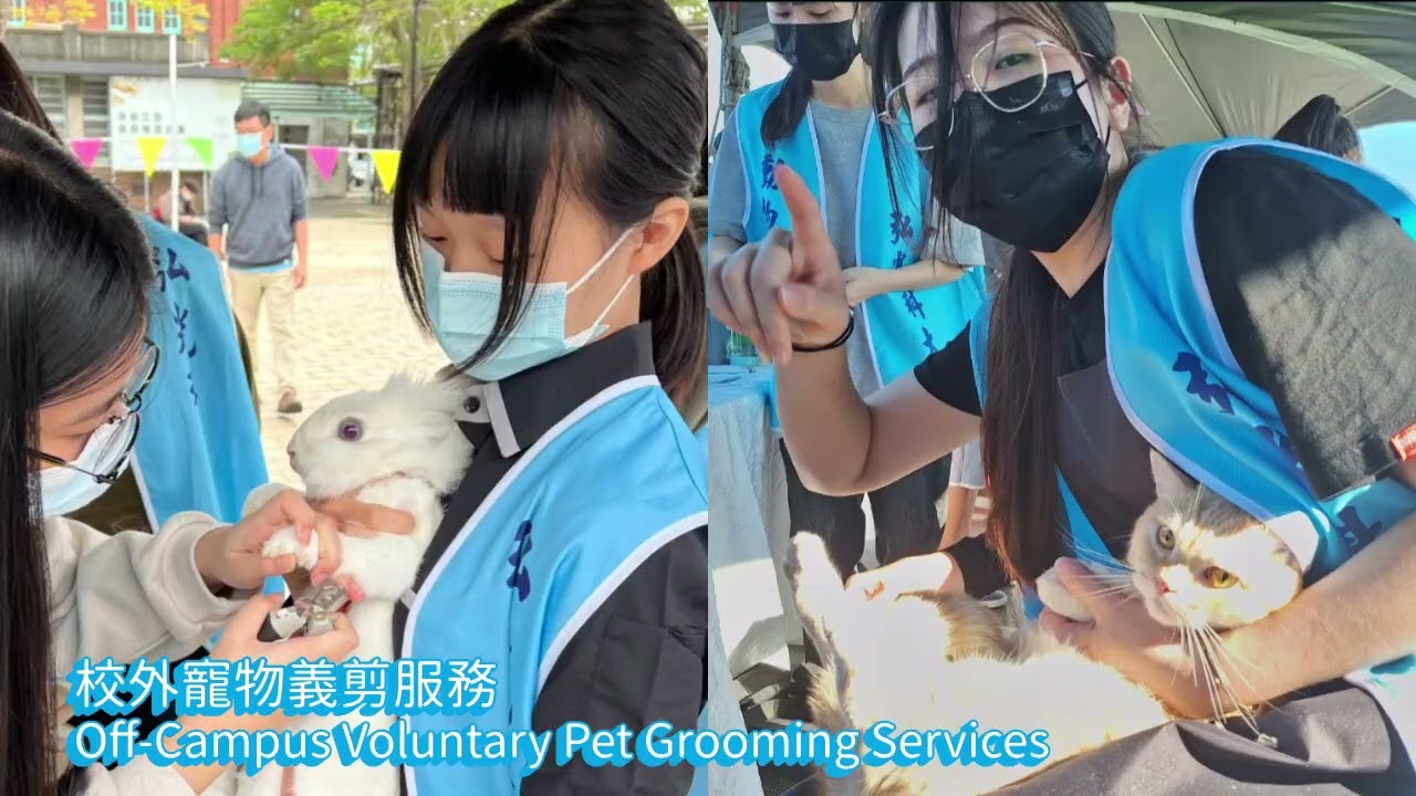 115寵物美容技術相關課程