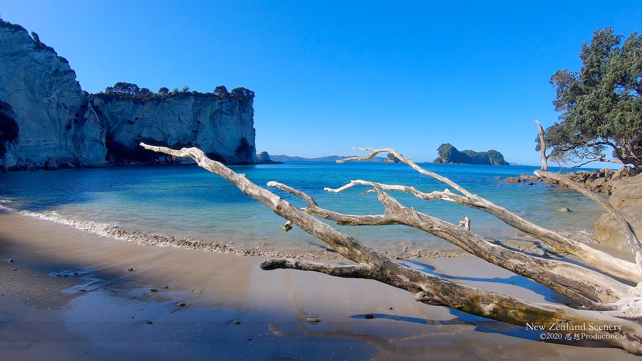 4K Hahei Beach Coromandel Peninsula NEW ZEALAND ニュージーランド 紐西蘭 Part 11