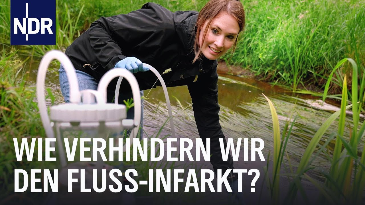 Unser Fluss soll leben! | Doku | NDR Story
