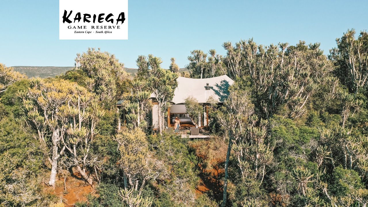 On Safari at Settler's Drift | 5 Star Luxury Travel in Africa | Big 5 Game Reserve | Wildlife Lodge