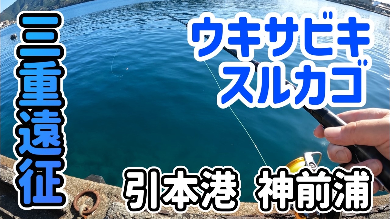 【三重遠征】人気堤防の引本港と神前浦【吉津港】でスルカゴとウキサビキ