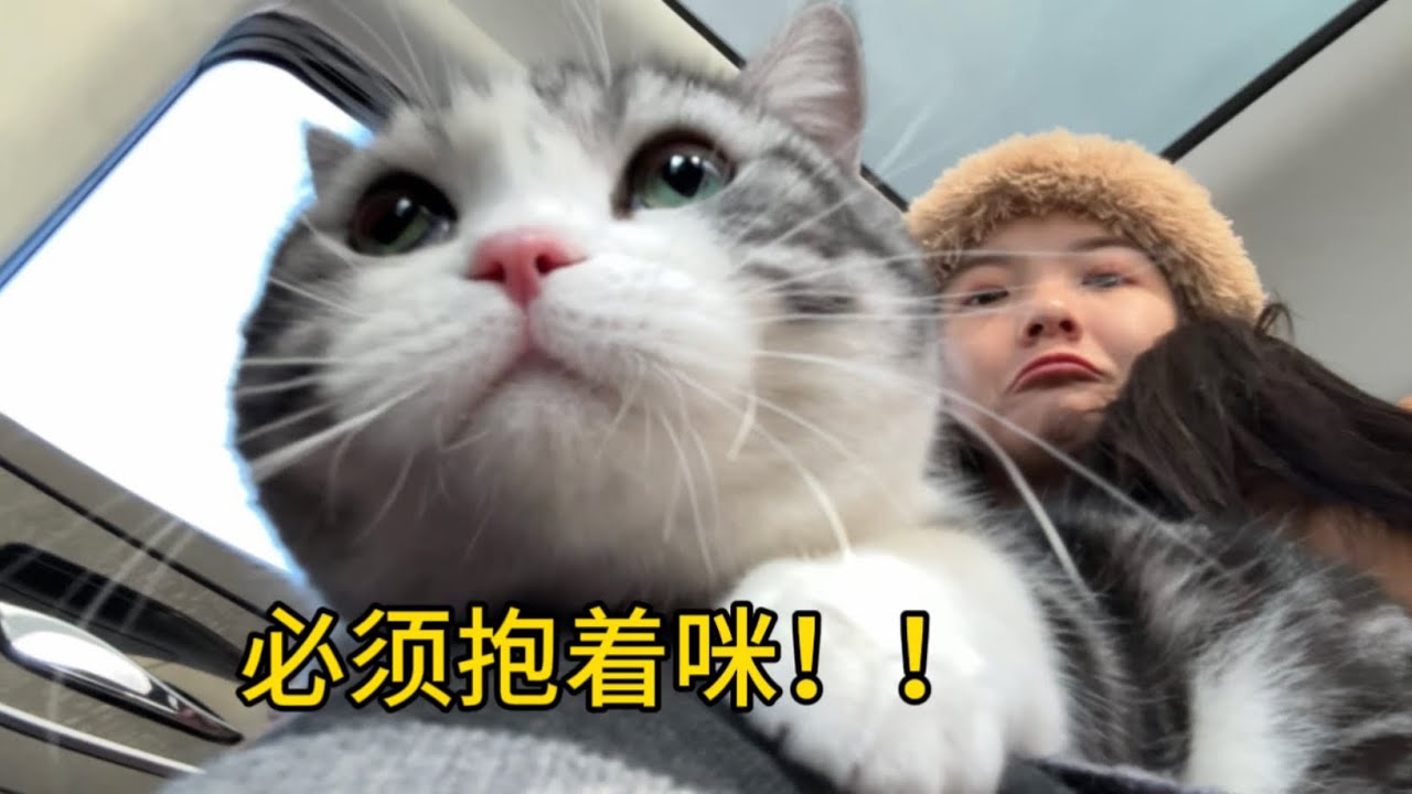 帶戲精媽寶貓回家有多累？貓：全部注意力放我身上！