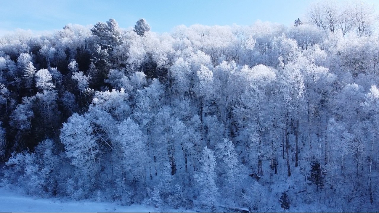 One Magical Winter's Morning