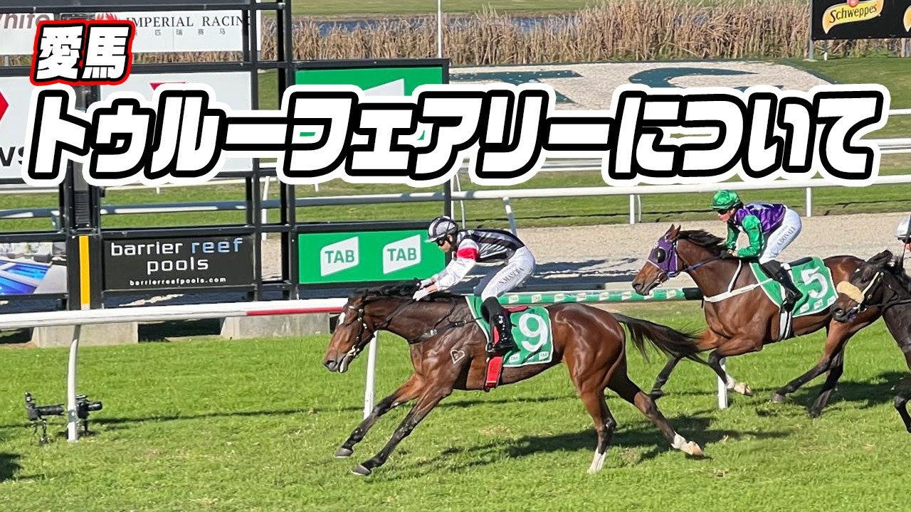 【緊急生配信】愛馬トゥルーフェアリーについて  ＃お兄ちゃんネル ＃トゥルーフェアリー