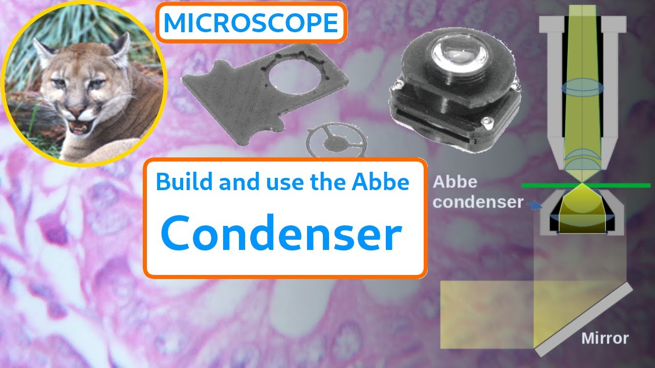 The Abbe Condenser with an Intro to Dark Field and Phase Contrast microscopy