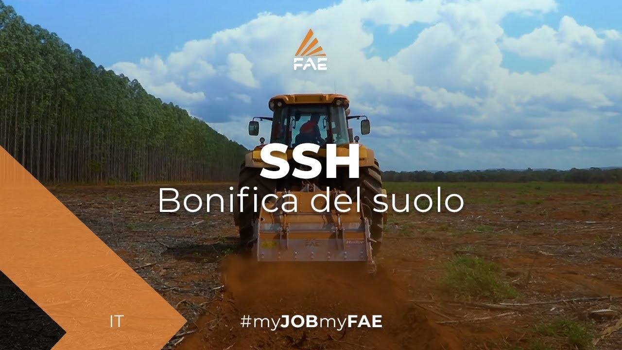 Frese forestali FAE al lavoro nella Terra Arancione