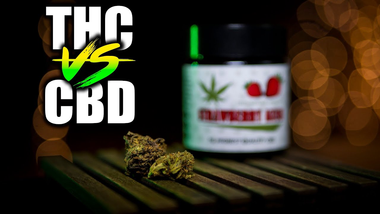 R&oacute;znice pomiędzy MARIHUANA a CBD