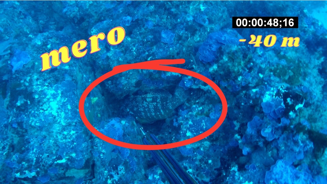 pesca dos meros a 40 METROS de profundidad con Jos&eacute; Carlos S&aacute;ez