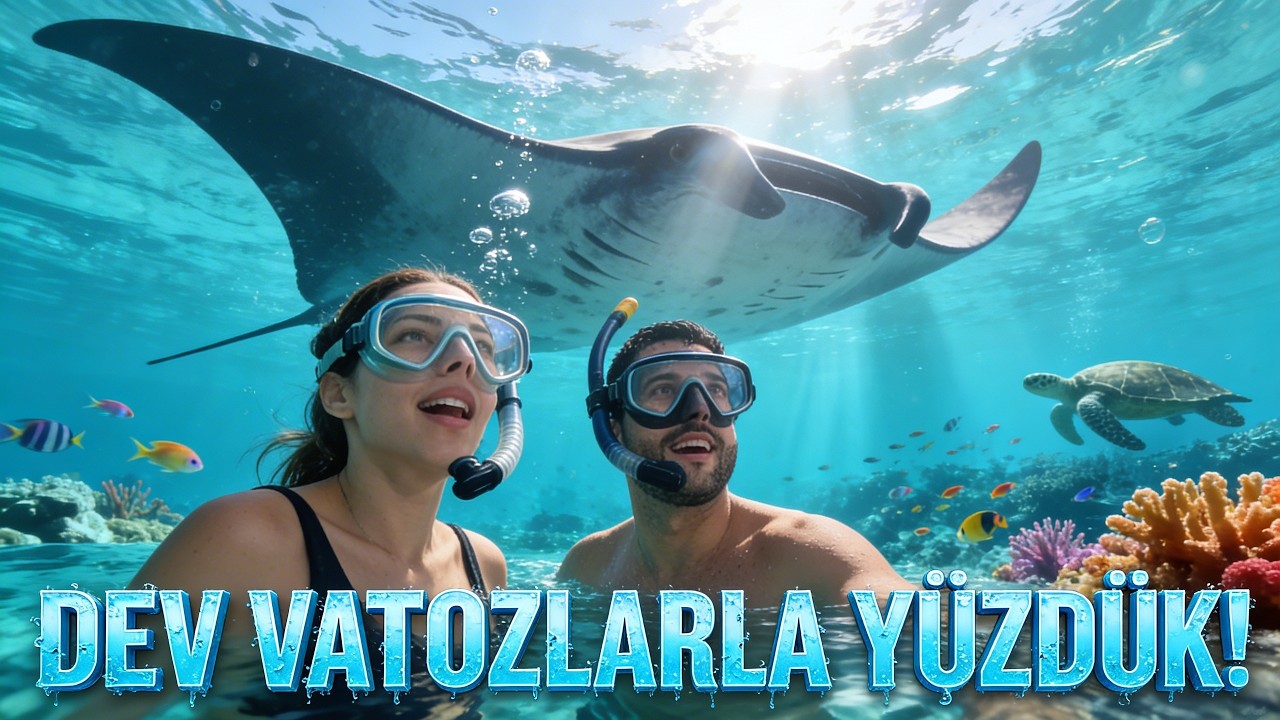 Bali’de Dev Manta Raylerle Yüzdük! | Nusa Penida Manta Bay Unutulmaz Dalış