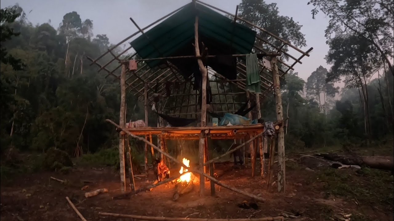 บ้านป่าลึกวันสุดท้ายการช่วยพ่อแม่แล้วเดินทางกลับบ้าน