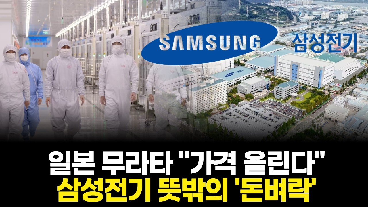 일본 무라타 