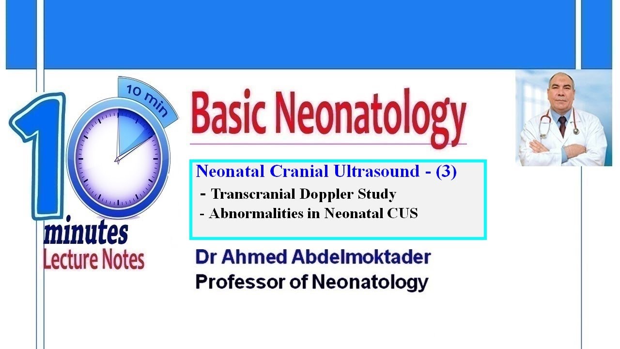 Neonatal Cranial Ultrasound 3