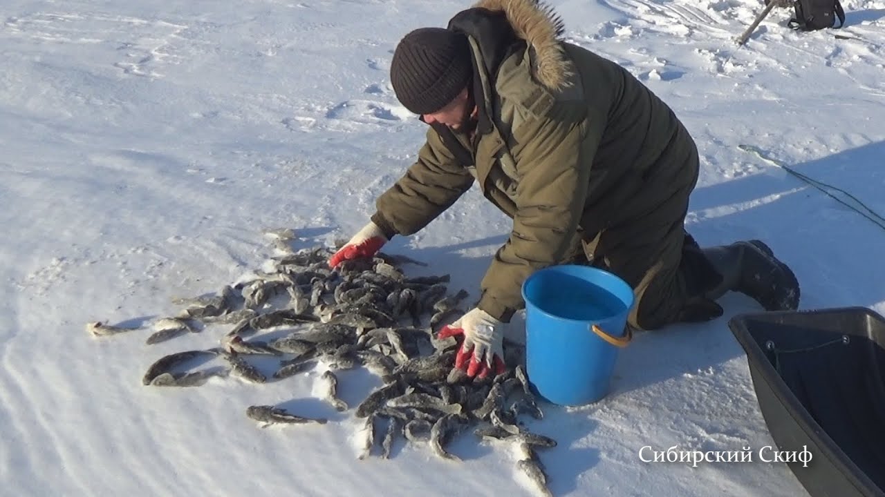 Морды КАТИСКИ. Обгорелые КОСТИ. Рыбалка на Мордушки