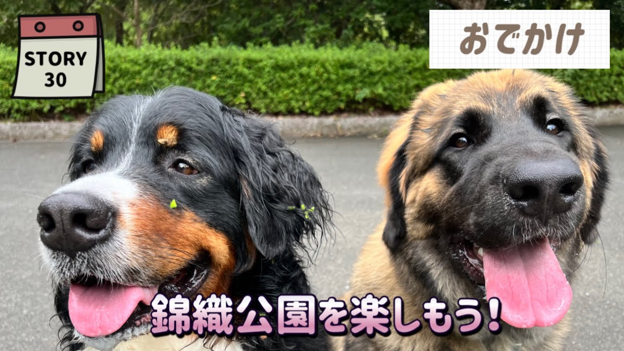【ななエル物語】自然豊かな公園を楽しむ姉妹(*^^*)