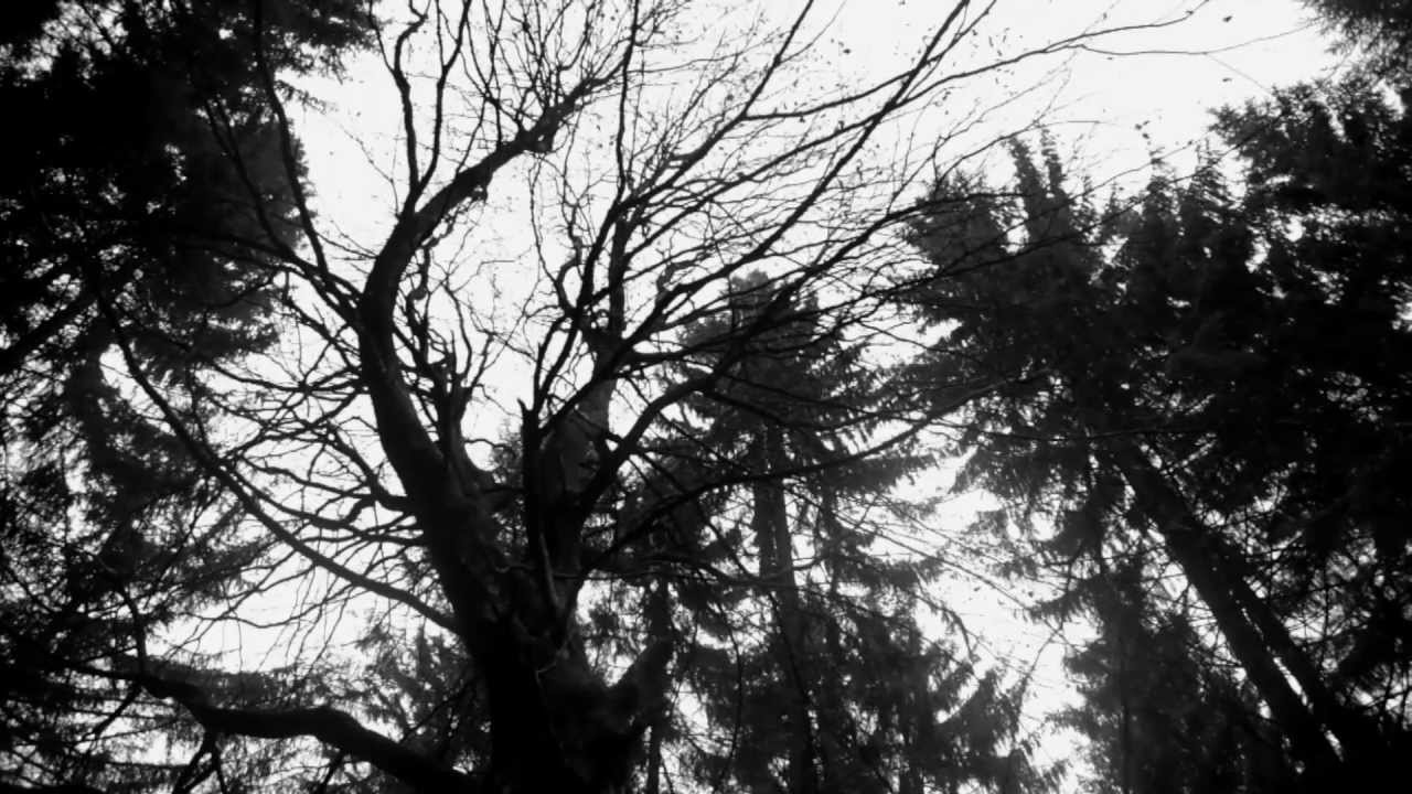 Mylène Farmer  Nuit d'hiver