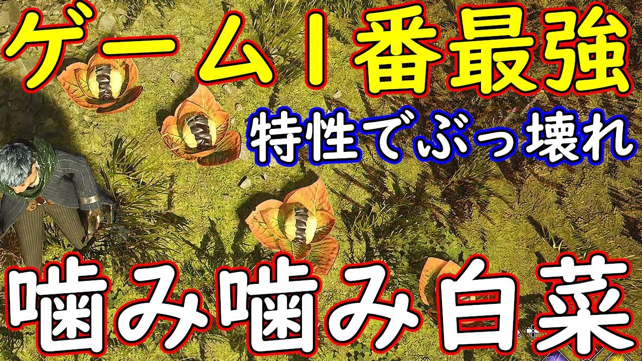 ホグワーツレガシー　ゲーム一番の瞬間最強火力　一撃が古代魔術!?　特性一つで噛み噛み白菜ぶっ壊れた