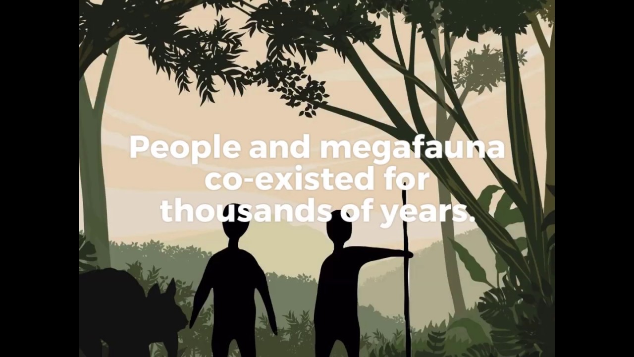 What caused the extinction of Australia&rsquo;s megafauna?