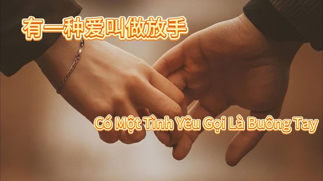 有一种爱叫做放手 -  Một Tình Yêu Gọi Là Buông Tay - Cover by tunglu88