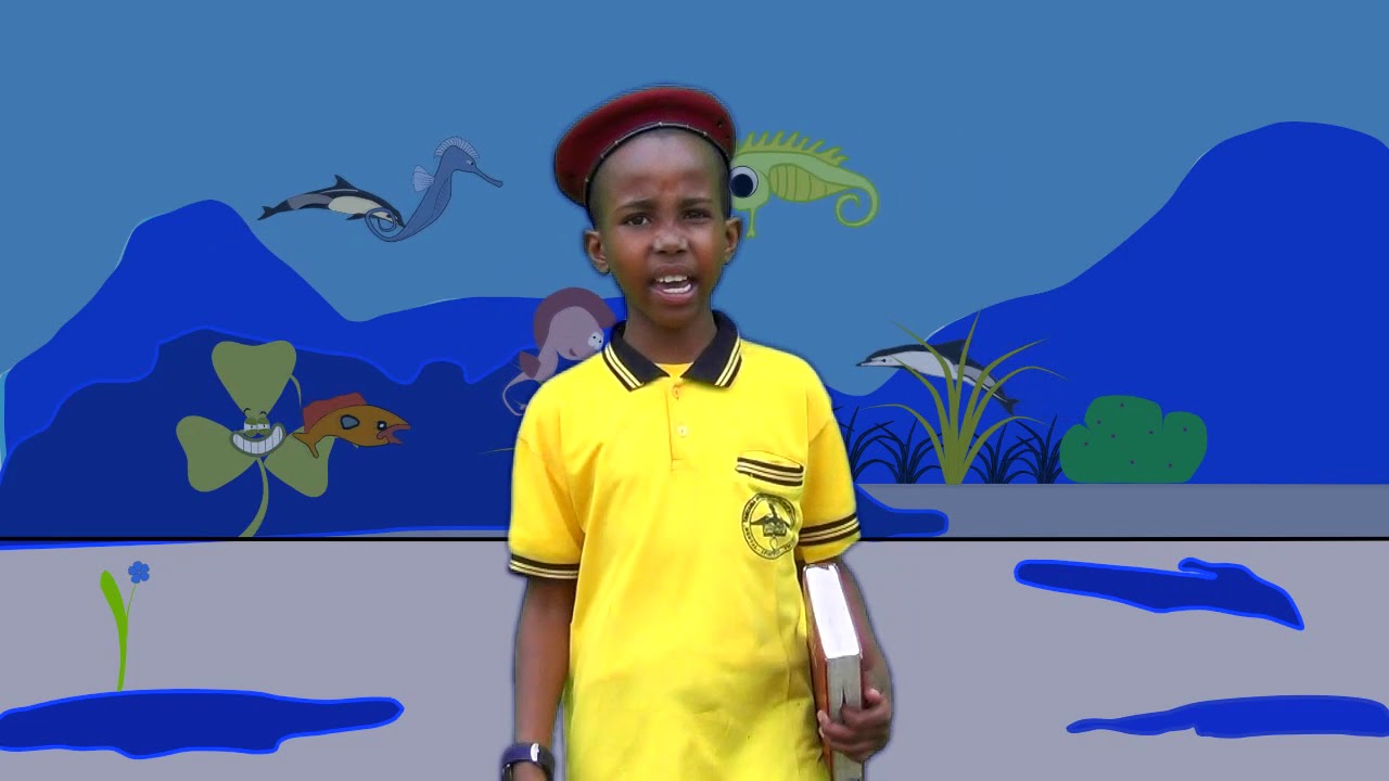 TANZANIA ADVENTIST PRIMARY SCHOOL