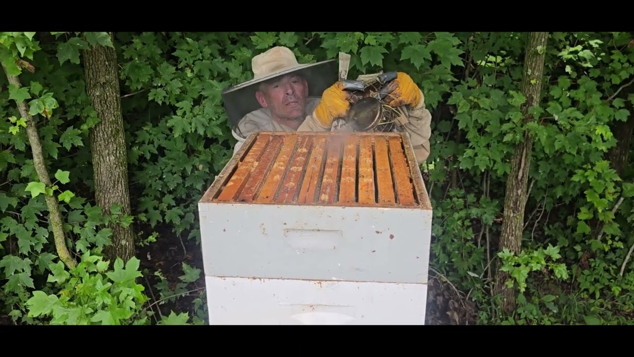 July 29, 2025 Madison Apiary