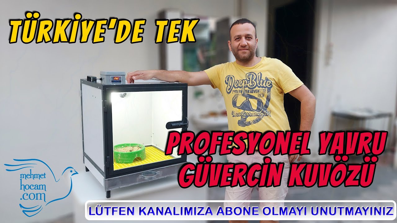 Profesyonel Yavru Güvercin Kuvözü