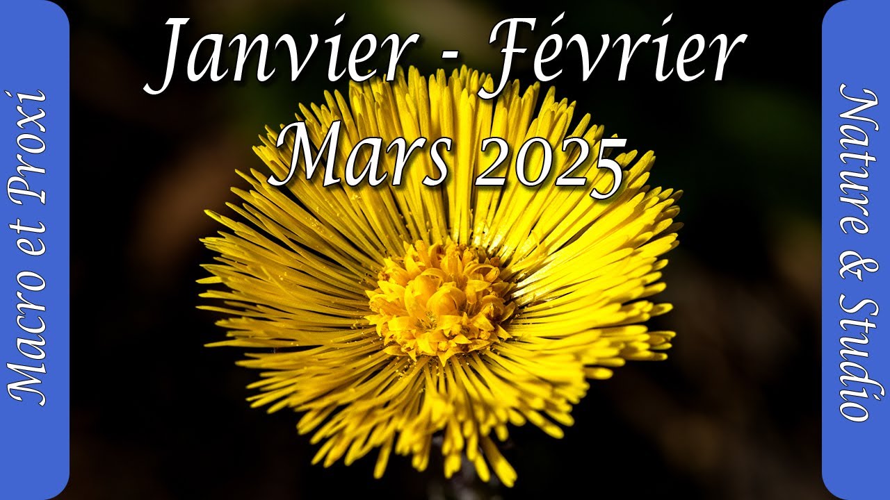 Macrophotographie Hivernale de Janvier à Mars  2025