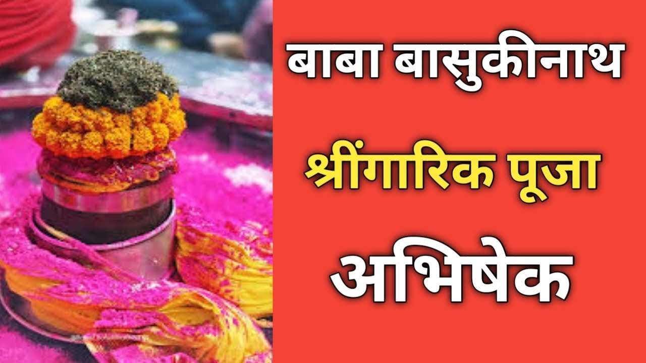 बाबा बासुकीनाथ। श्रींगारीक पूजा। अभिषेक।Baba Basukinath । Shring garik puja...