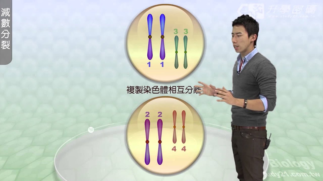 【升學密碼】哇~太神奇了!! 減數分裂怎麼分? | 生物 | 數位學習 | Study21