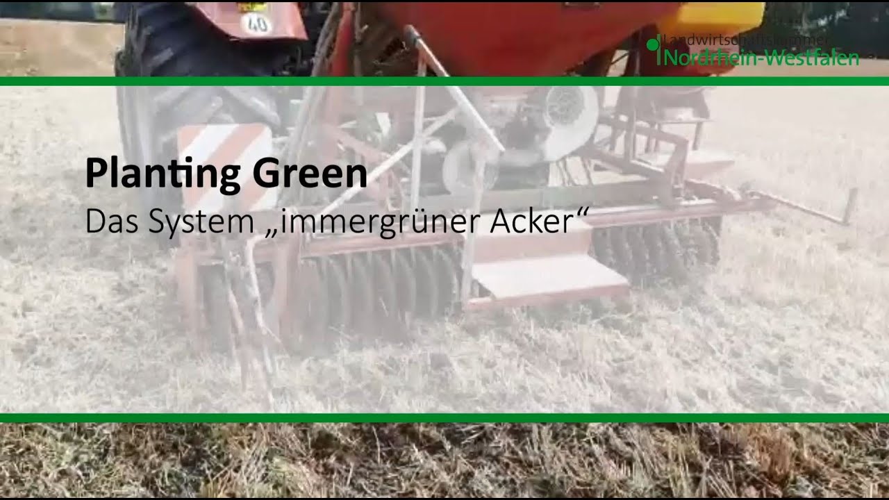Planting Green &ndash; The &ldquo;evergreen field&rdquo; system