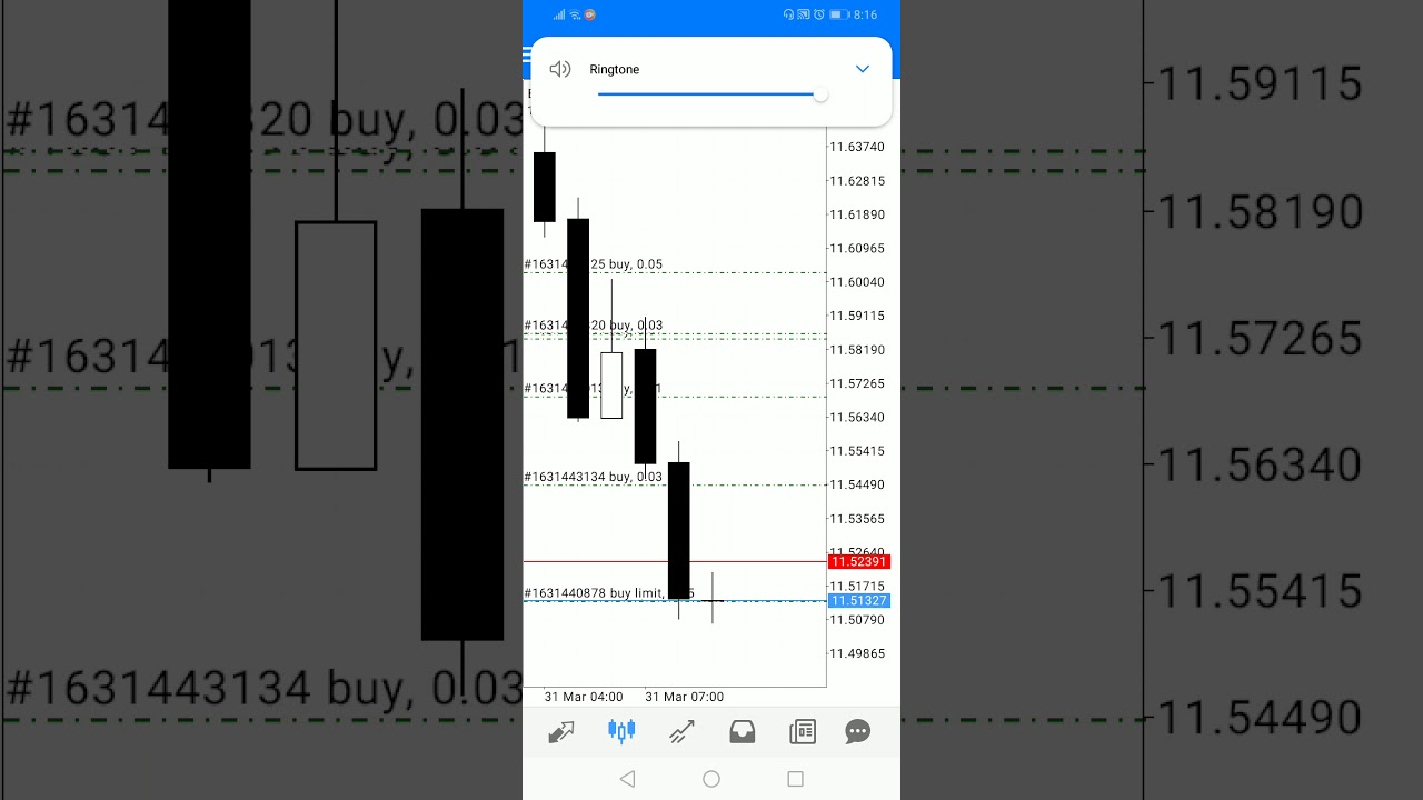 HOTFOREX IS A SCAM GUYS
