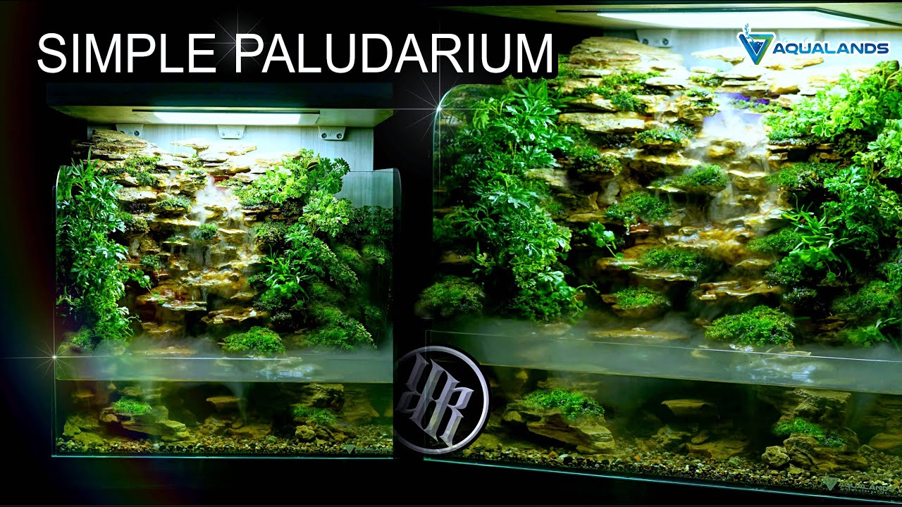 Mini Complete Paludarium with Waterfalls
