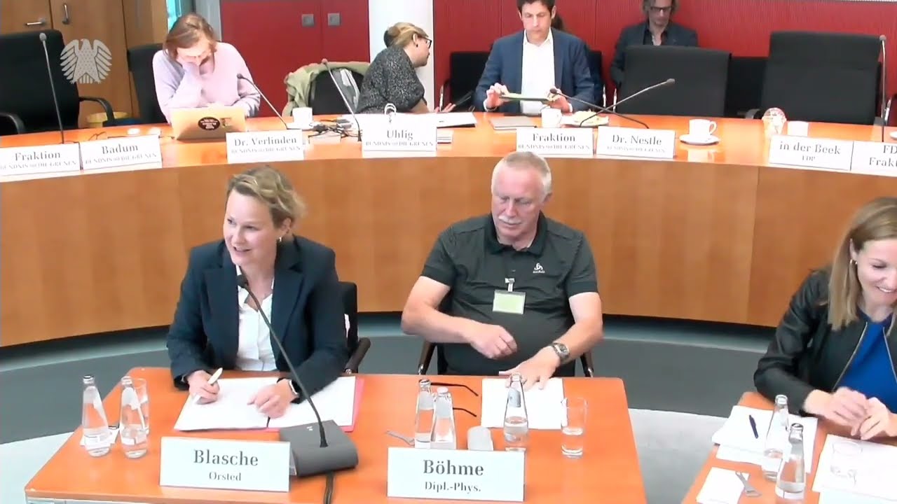 Experten sehen Nachbesserungsbedarf bei RED III-Umsetzung