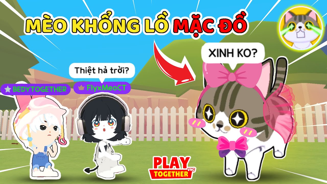 Meo Phát Hiện MÈO KHỔNG LỒ KHI MẶC ĐỒ Sẽ Thế Này? | Play Together