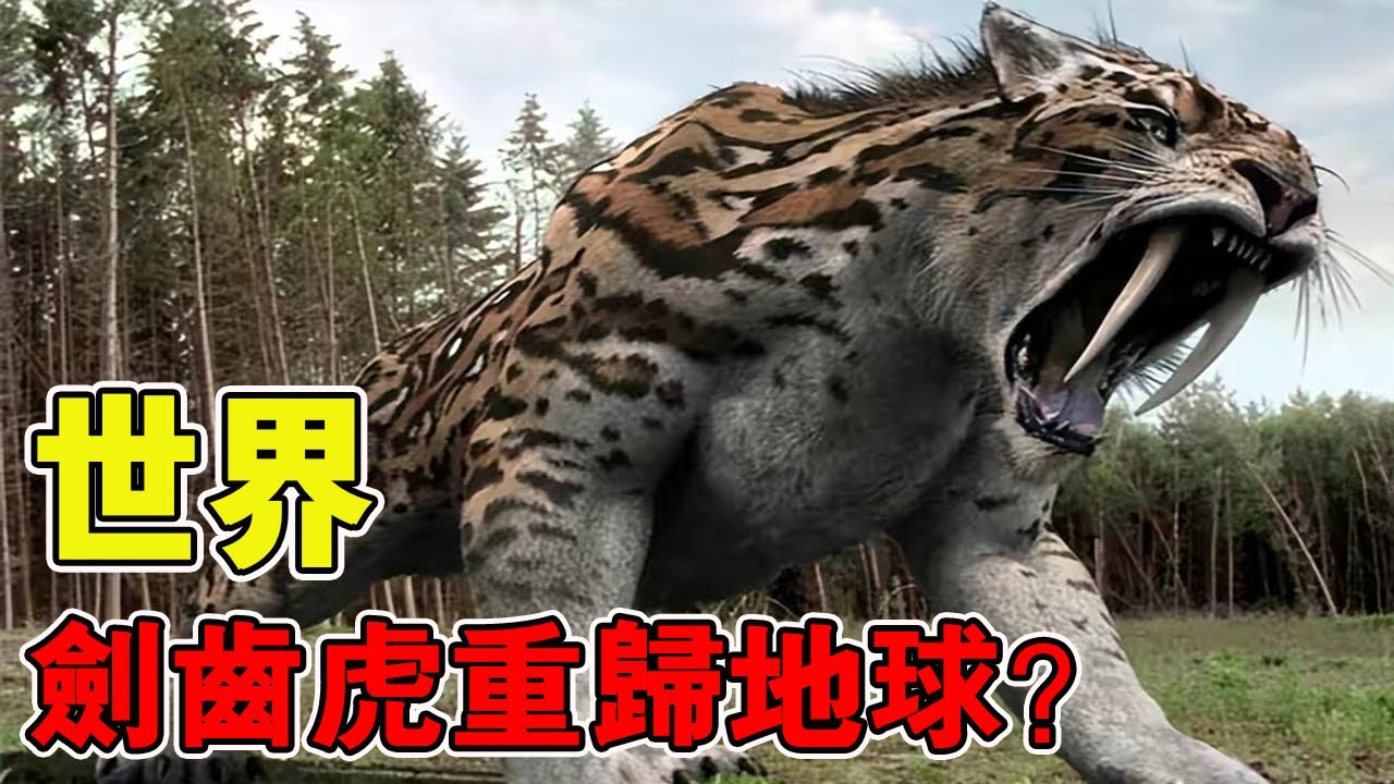 6 種有望重返地球的史前巨獸！劍齒虎基因已被獲取，恐龍復活即將成為現實？ 【黑土日記】
