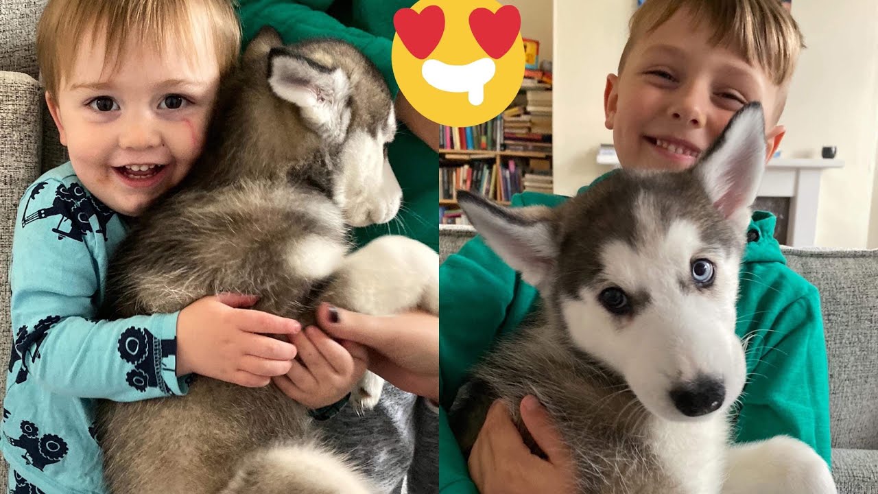 Kids & Puppies Make The Best Of Friends! [TRY NOT TO SMILE]