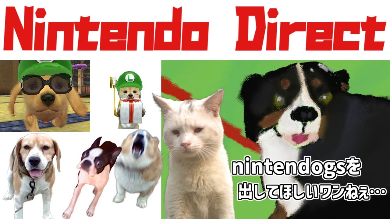 ニンダイを見る枠 nintendogsの新作こい！switch2にマイク付けたのはそのためだろ！！！→ソフトメーカーラインナップなので任天堂以外の作品しか紹介されないらしい[2026/02/05]